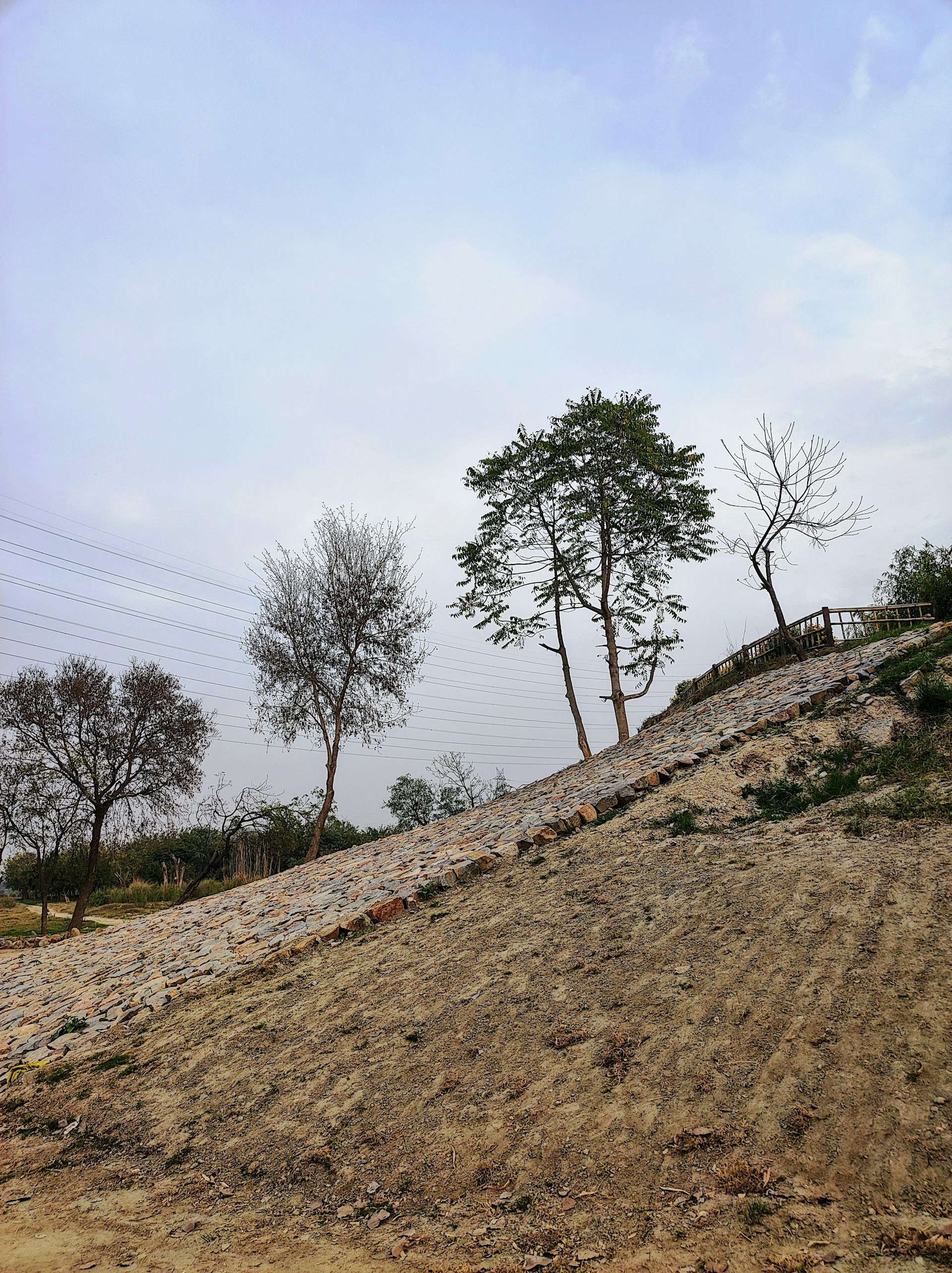 Land Restoration Project